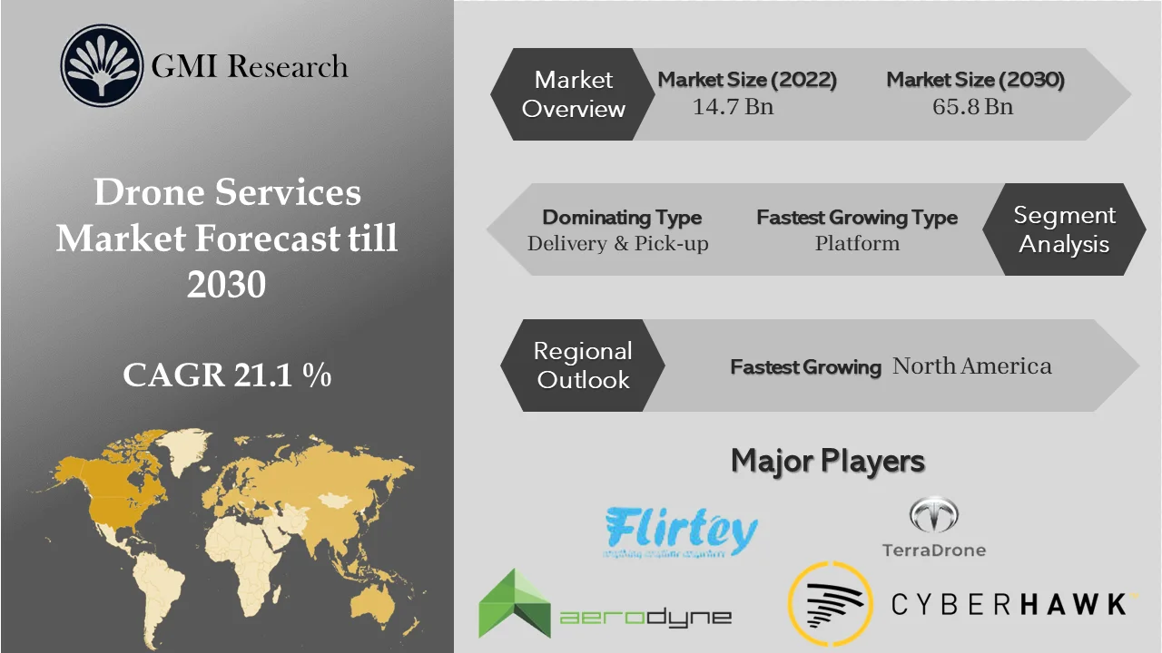 Drone Services Market