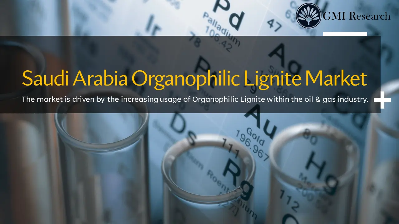 Saudi Arabia Organophilic Lignite Market