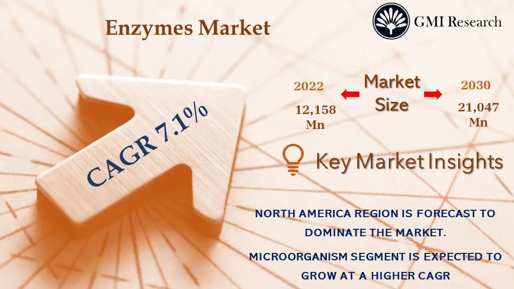Enzymes Market