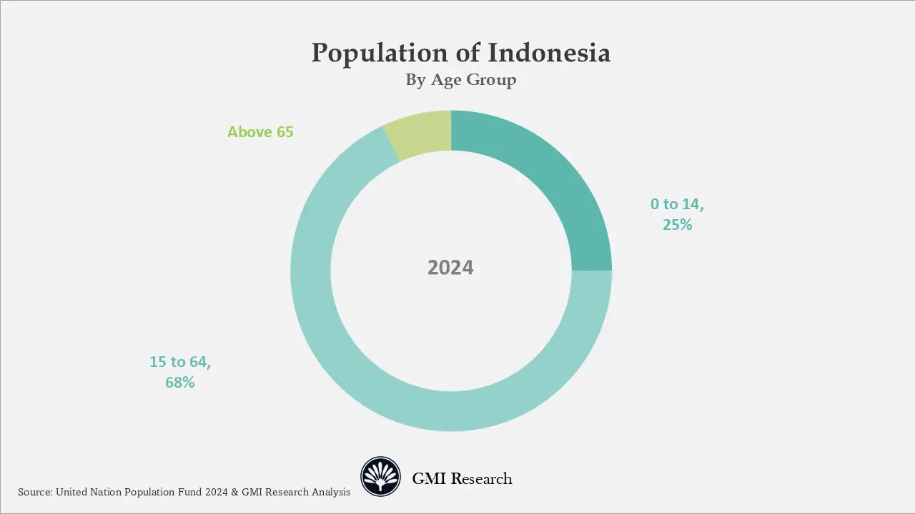 Population of Indonesia by Age Group