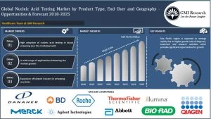 Global Nucleic Acid Testing Market
