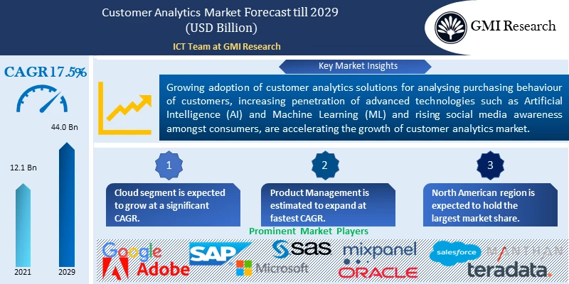 Customer Analytics Market