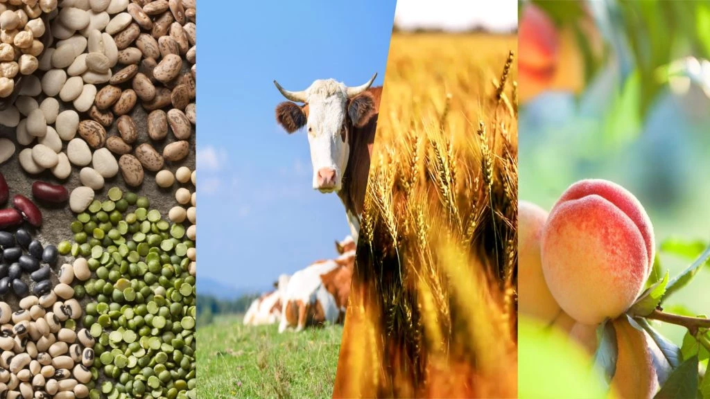 Greece Organic Food Market