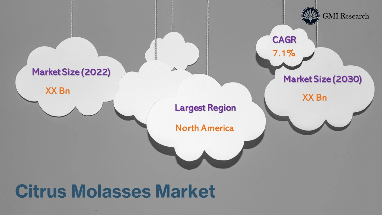 Citrus Molasses Market