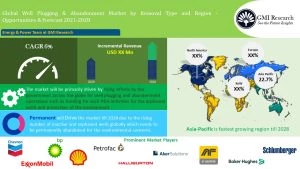 Global Well Plugging Market